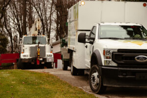 Crane Shoot in Ottawa County, MI