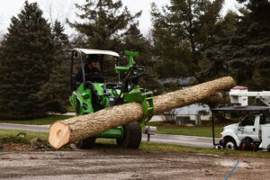 Crane moving a big tree - Professional Tree Pruning