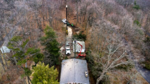Tree Removal in Ottawa County, MI