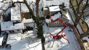 Areal view of tree removing