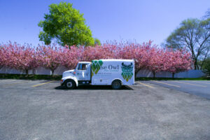 Wise Owl Tree company truck